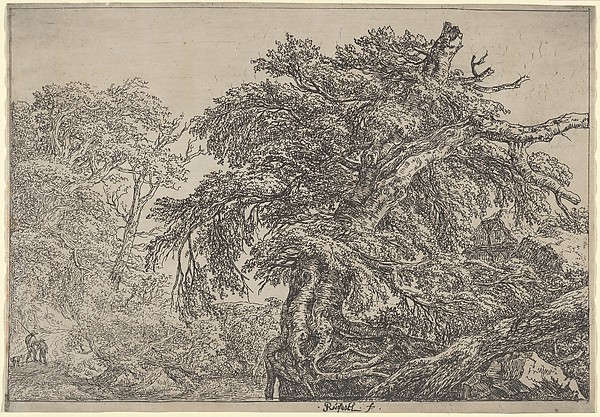Picture of Jacob van Ruisdael in 1652 