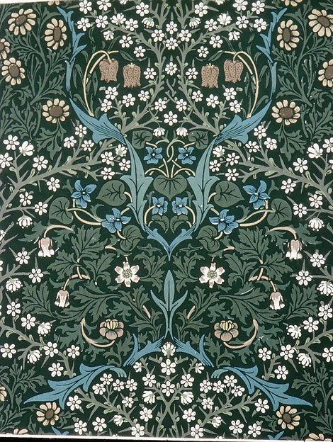 Blackthorn