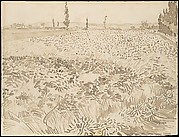 Wheat Field