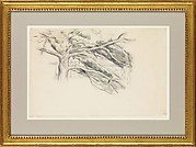 Large Pine, Study