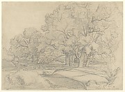 Plateau de la Mare aux Fées. Forest of Fontainebleau