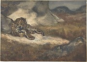 Leopard Lying Down
