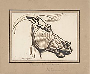 Head of a Horse, after the Parthenon