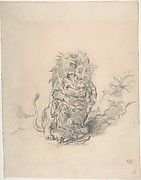 A Lion and a Tiger, Fighting