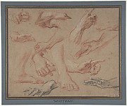 Studies of Hands and Feet