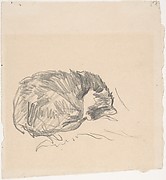 A Cat Curled Up, Sleeping
