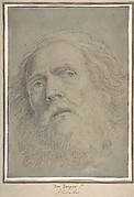 Head of a Bearded Man.