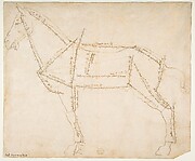 Measured Drawing of a Horse Facing Left (recto).