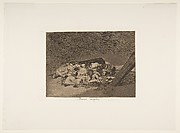 Muertos Recogidos
