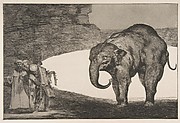 Animal Folly (Disparate de bestia), from the Disparates, plate C