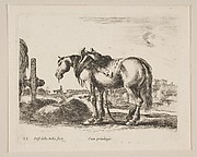 Cart Horse