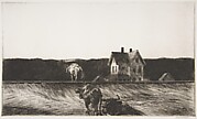 American Landscape