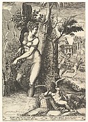 Venus and the Rose
