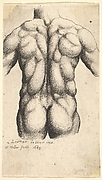Male Torso , after Leonardo