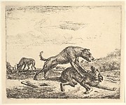 Fighting Dogs, from Different Animals