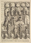 The Five Orders of Periwigs