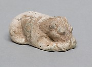 Hippopotomus