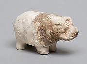 Hippopotomus