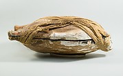 Mummified Duck in Case