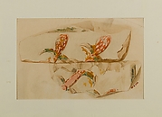 Water Plants, Tomb of Puyemre