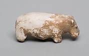 Hippopotomus