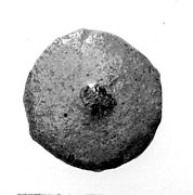 Disk bead