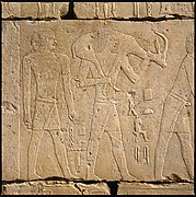 Tomb Chapel of Raemkai: East Wall