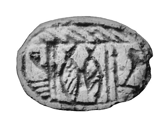 Scarab