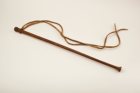 Charioteer's whip of Iotefamun