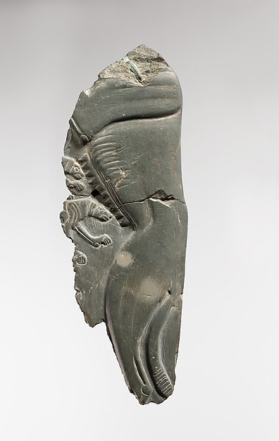 Palette Fragment Illustrating a Wild Dog