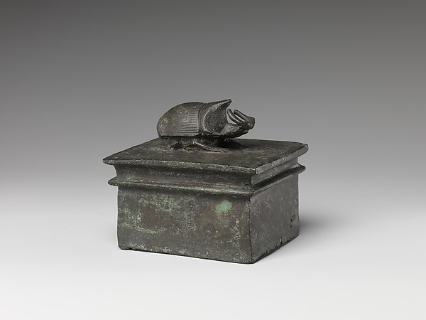 Rhinoceros beetle box