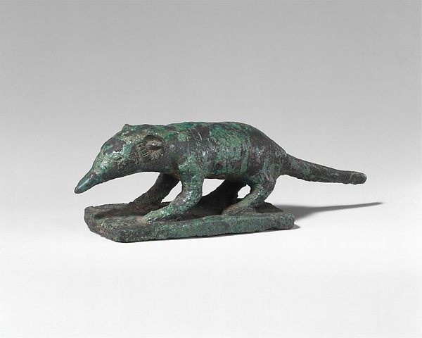 Shrew