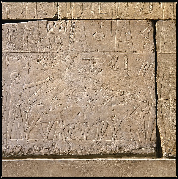 Tomb Chapel of Raemkai: East Wall