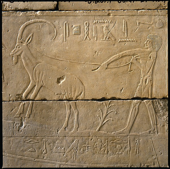 Tomb Chapel of Raemkai: South Wall