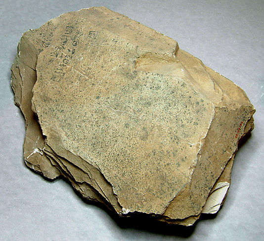 Hieratic ostracon