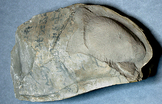 Hieratic Ostracon
