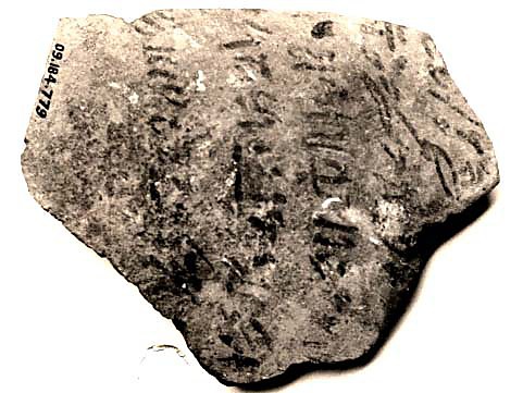 Ostracon