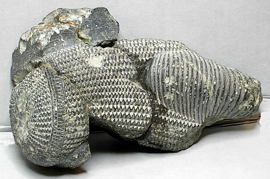 Statuette fragments (8), Ahmose Nefertari