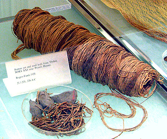 Fish Net