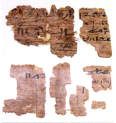 Papyrus fragments