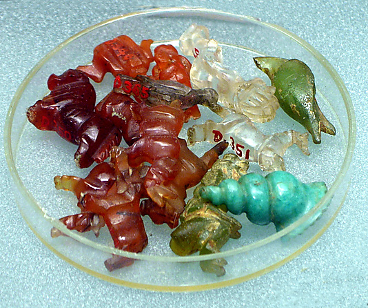 Conch shell