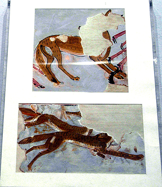 Animals in the Desert, Tomb of Amenemopet