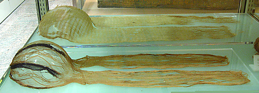 Turban from the Head of a Mummy of a Woman