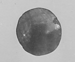 Disc-shaped coffin Inlay