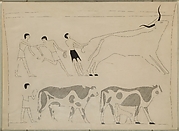 Men Roping a Bull and Driving Cattle, Tomb of Djari