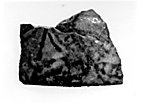 Vase fragment