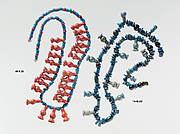 Poppy-Bead Necklace