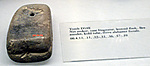 Fish net weight