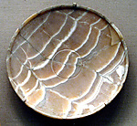 Dish