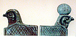 Broad collar terminal, falcon